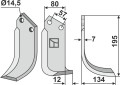 cel-07r.jpg