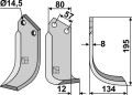 cel-09r.jpg