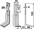 cas-08r.jpg