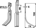 fer-25r.jpg
