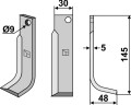 fmo-11r.jpg