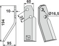 fln-01l.jpg