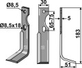 gut-51-ar.jpg