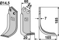 mal-08r.jpg