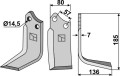 mur-14r.jpg
