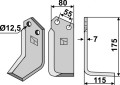 nar-07r.jpg