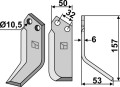 pas-11r.jpg