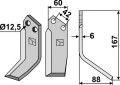 pas-13r.jpg