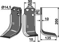 tor-31r.jpg